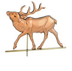 elk425.bmp