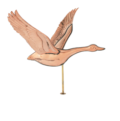 goose425.bmp
