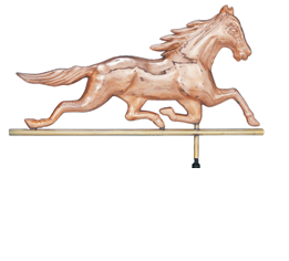 racehorse155.bmp