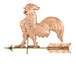 rooster350.bmp