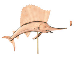 sailfish355.bmp